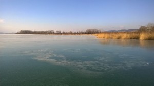 a befagyott Szerdahelyi-öböl 2016.01.21 